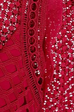 Self Portrait Ruffled Georgette-Trimmed Guipure Lace Mini Dress for rent on The Volte - image 3