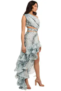 Bronx and Banco Savanna Sky Gown Blue Print Size 12 for rent on The Volte - image 2