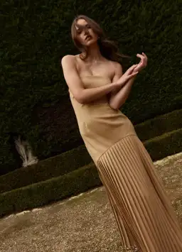 Bianca and Bridgett Mara Pleated Maxi Dress in Beige Gold Size 8 for rent on The Volte - image 4