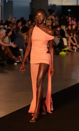 Bec & Bridge Kailani Asym Dress Pink Size 10 for rent on The Volte - image 4