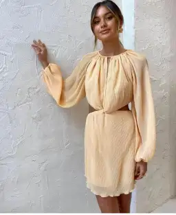 Issy Hummingbird Mini Dress in Rockmelon Size 6 for rent on The Volte - image 1