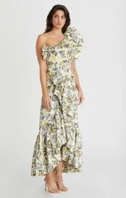 Aqua Blu Giselle Dress Clementine Print Size 10 for rent on The Volte - image 3