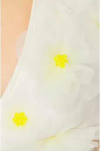 product_#UHJvZHVjdE1lZGlhOjU1NTIzNg==