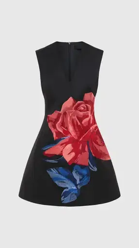 Leo Lin Briana V Neck Mini Dress in Rose Print Size 8