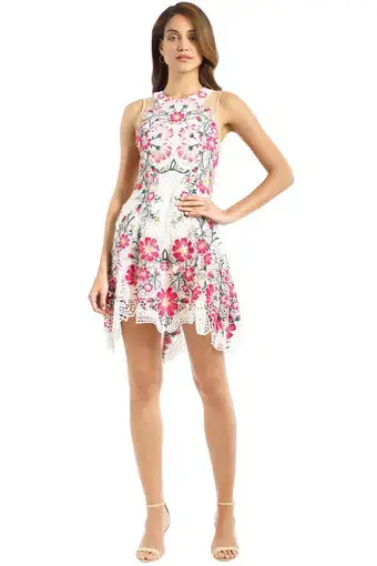 Thurley Flower Bomb Lace Mini Dress Floral Size 6