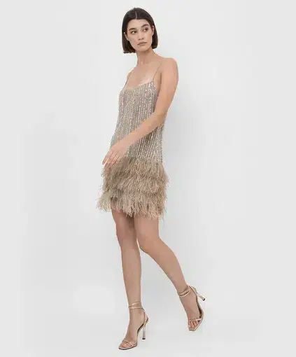 Rachel Gilbert Kenzi Mini Dress Beige Size 5 / AU 16