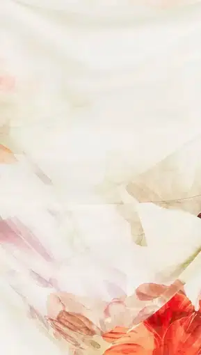 product_#UHJvZHVjdE1lZGlhOjQwNjIzMg==
