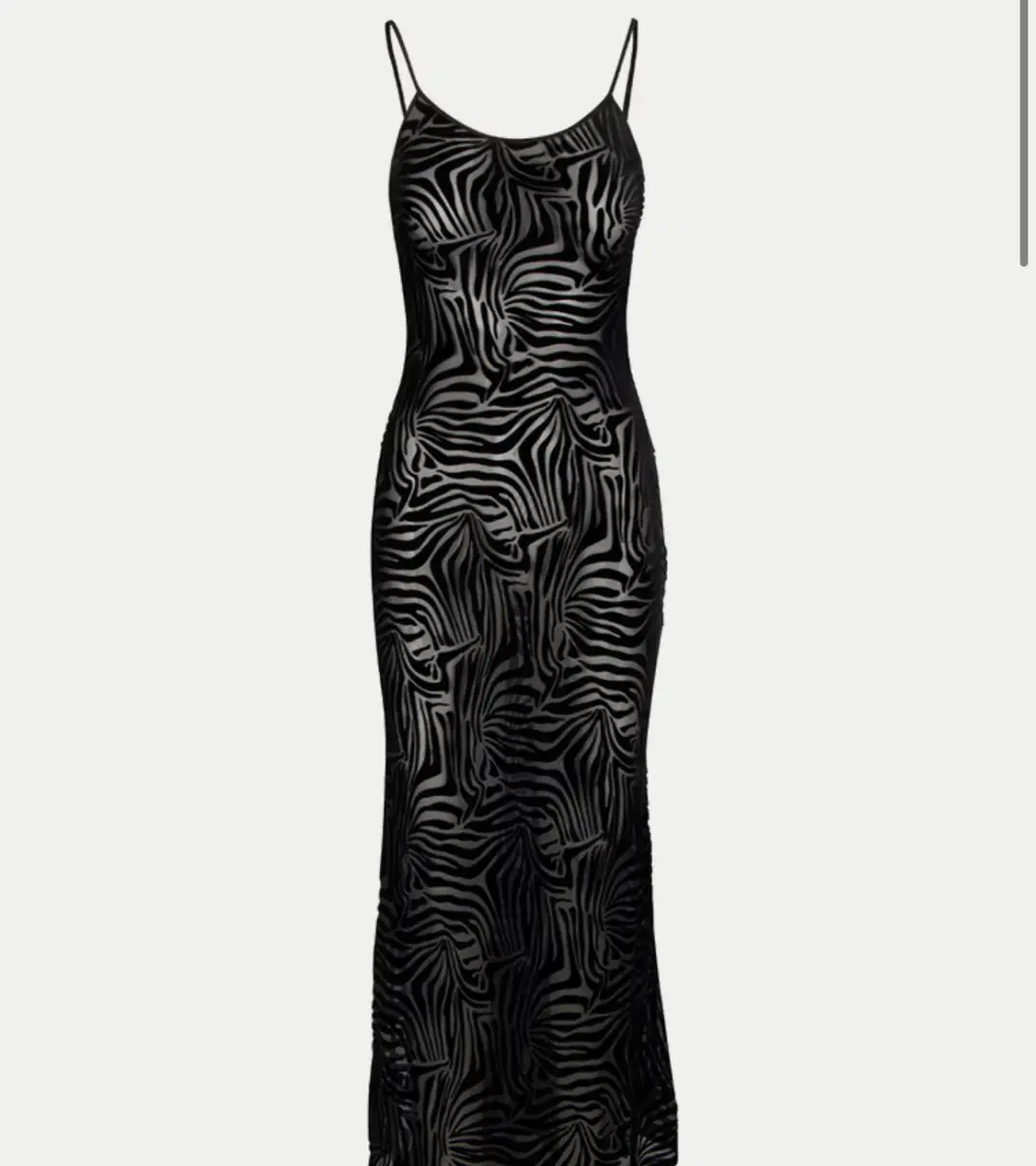 The Amber - Zebra Realisation Par for rent on The Volte - main image