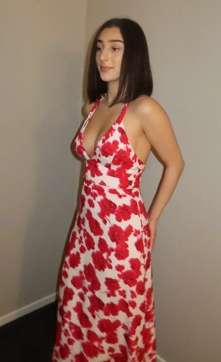 Kookai Bonita Vee Dress Red Floral Size XS / AU 6 for rent on The Volte - main image