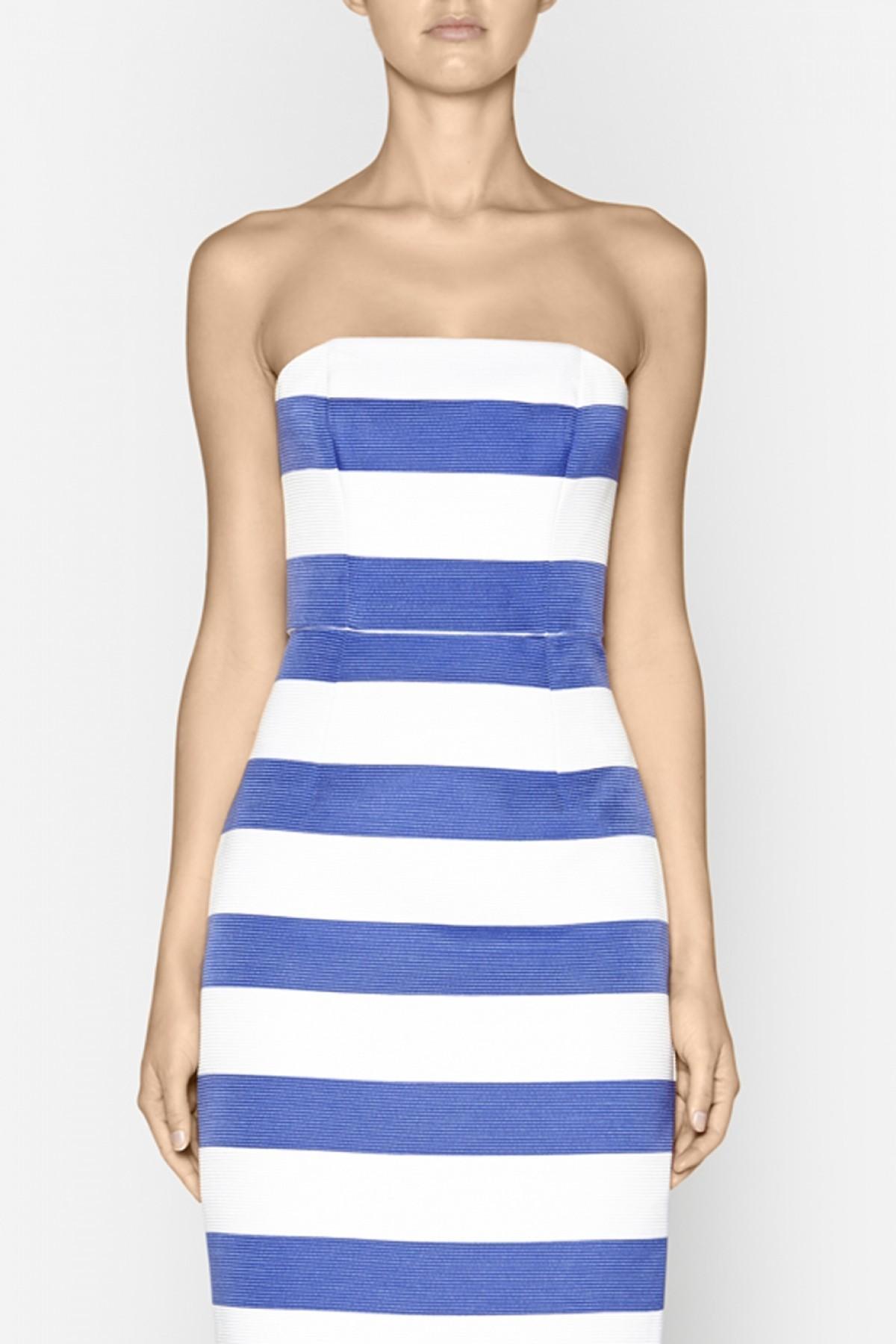 Camilla & Marc Moonkin Strapless Dress - Image 1