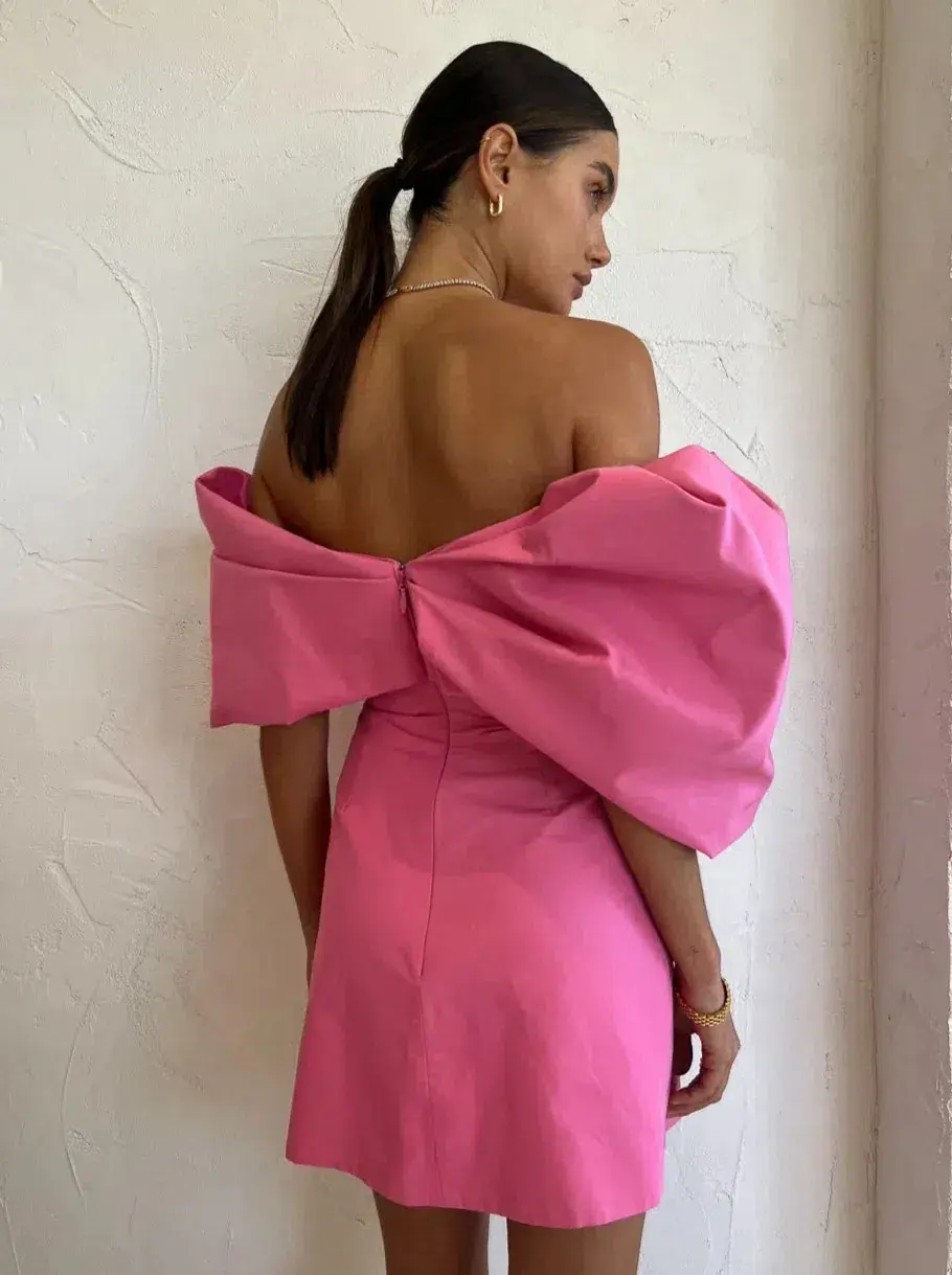Rachel Gilbert Xavier Mini Dress Pink Size 1 / AU 8 - Image 3