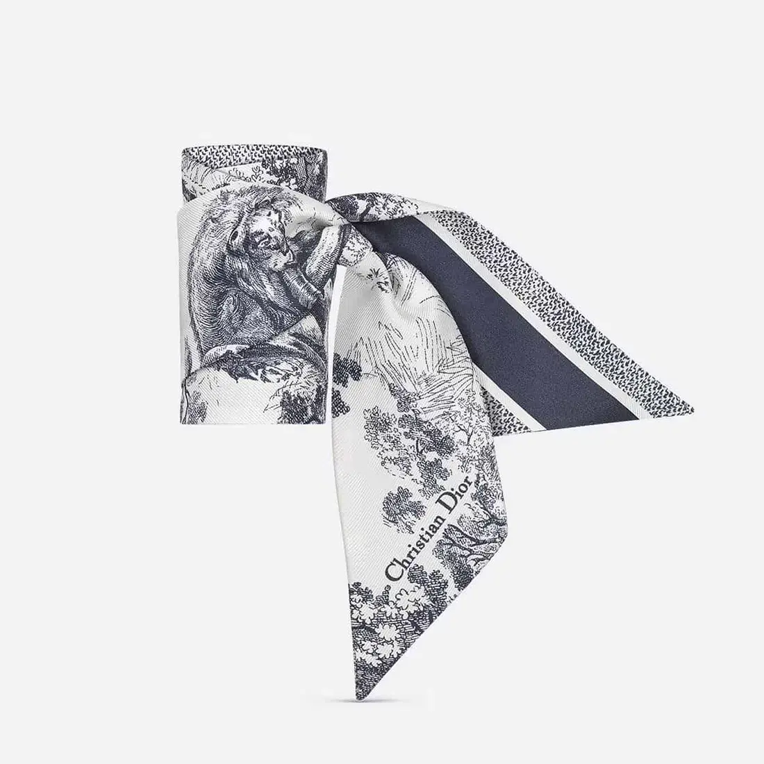 Dior Toile De Jouy Sauvage Mitzah Scarf - Image 1