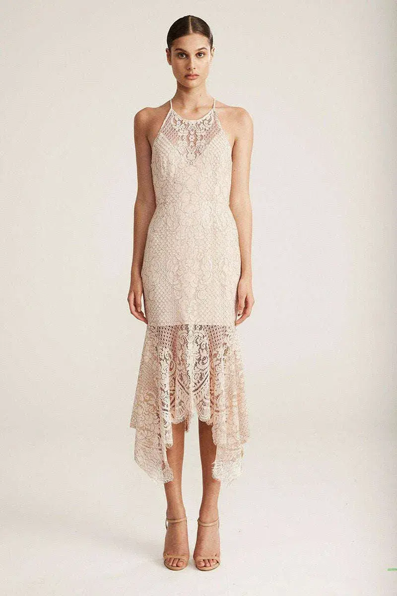 Shona Joy Lace Cocktail Straight Dress in Nude Size 8 - Image 1