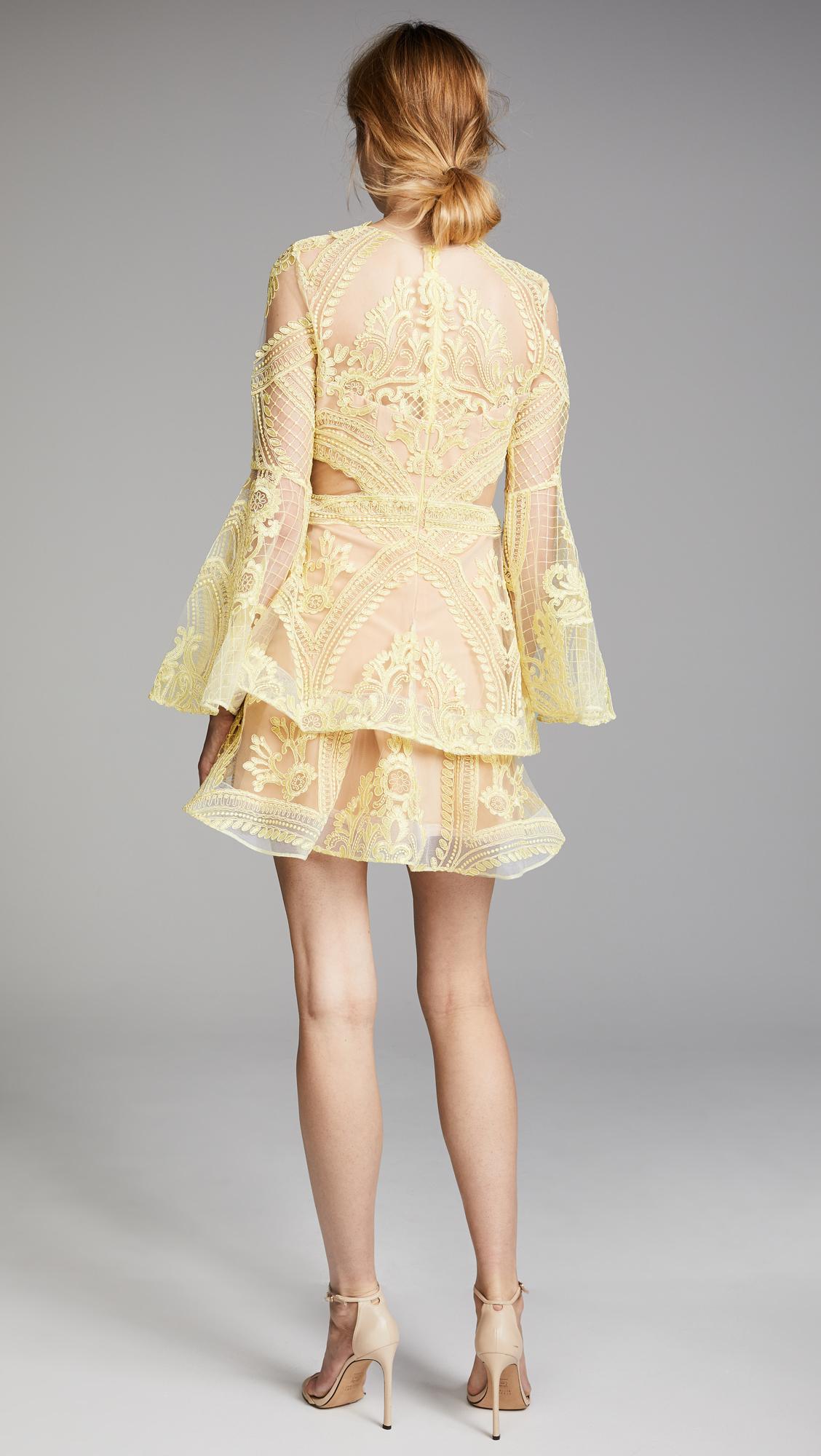 Thurley Chameleon Mini Dress - Image 4