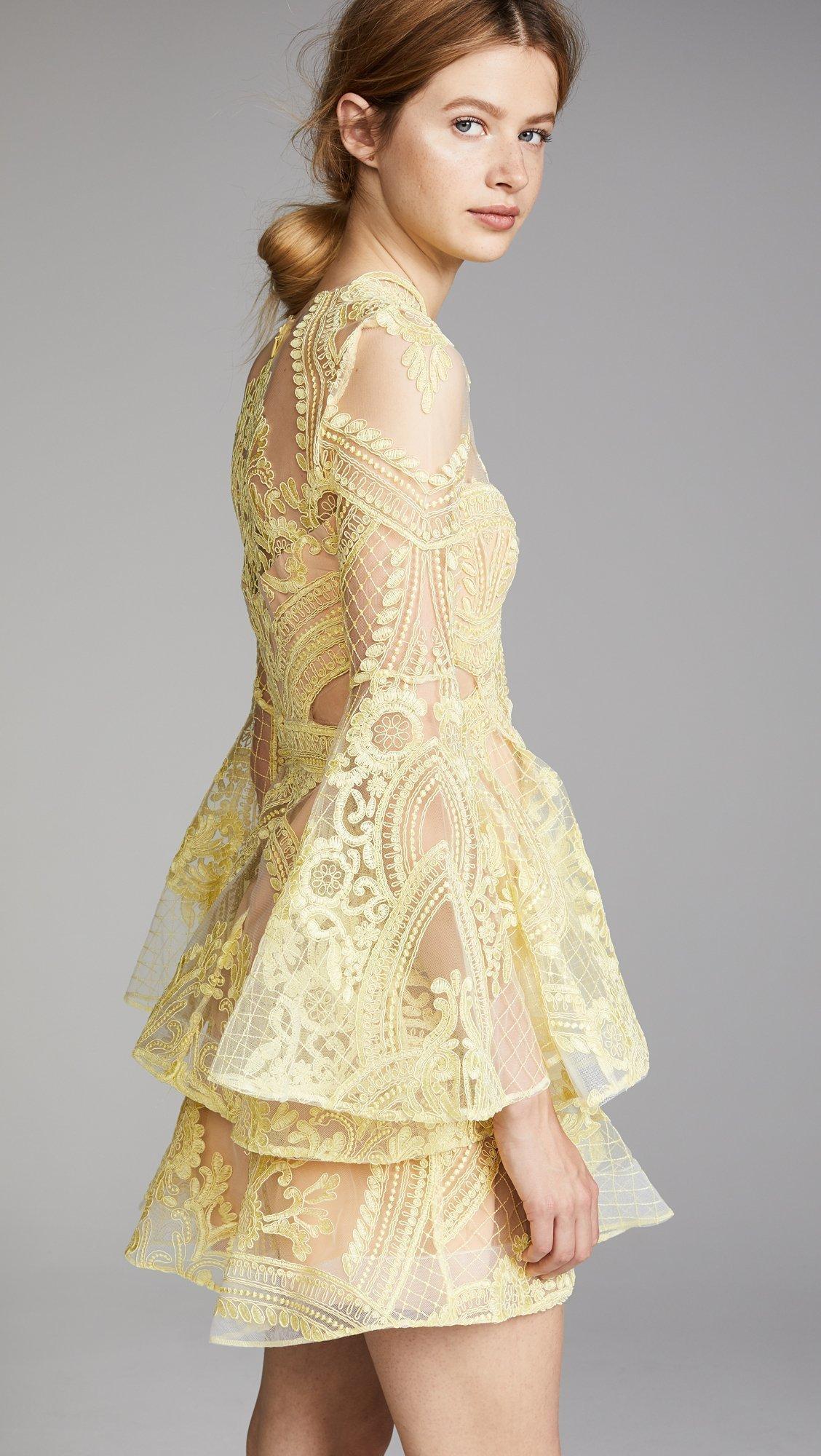 Thurley Chameleon Mini Dress - Image 3
