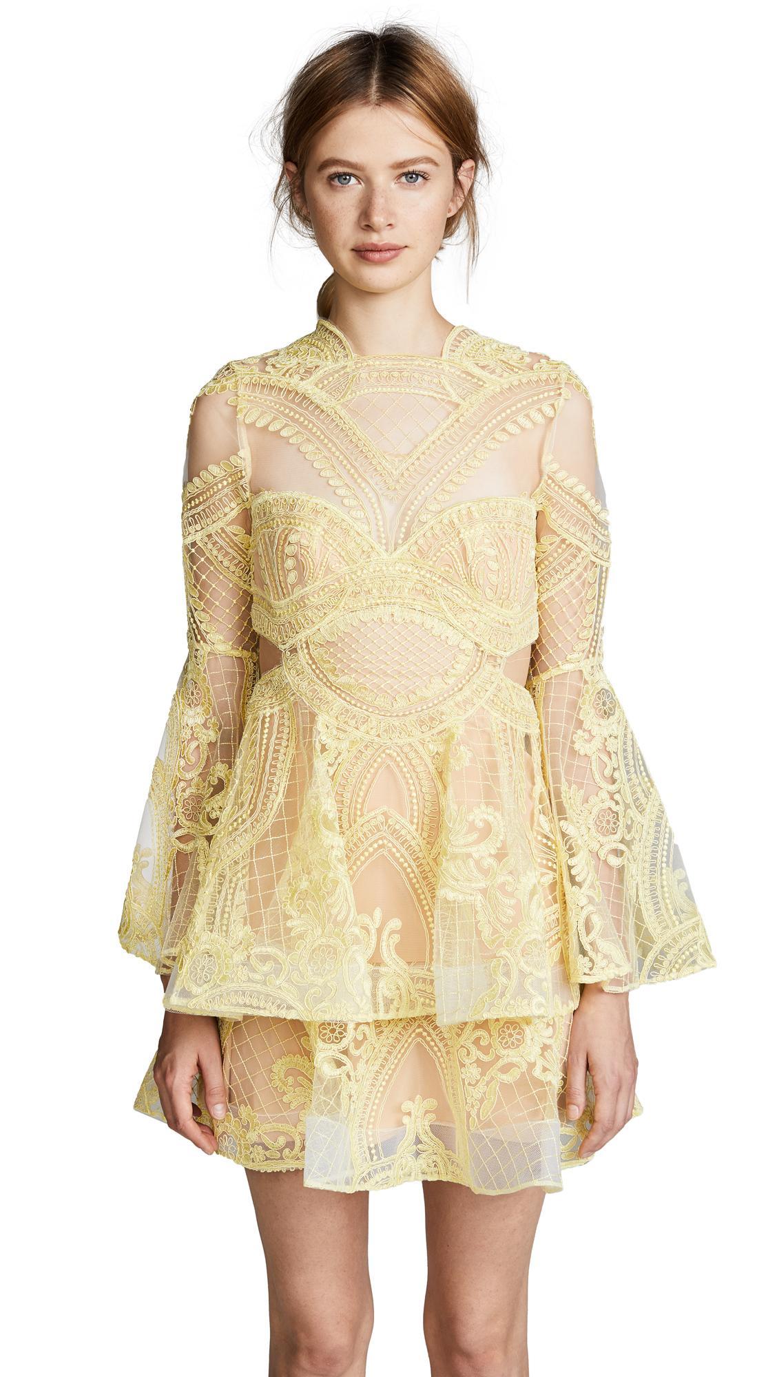 Thurley Chameleon Mini Dress - Image 1