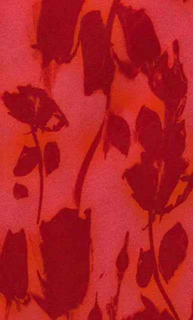 Realisation Par The Luz Mini Dress in Havana Size AU 8  for rent on The Volte - main image