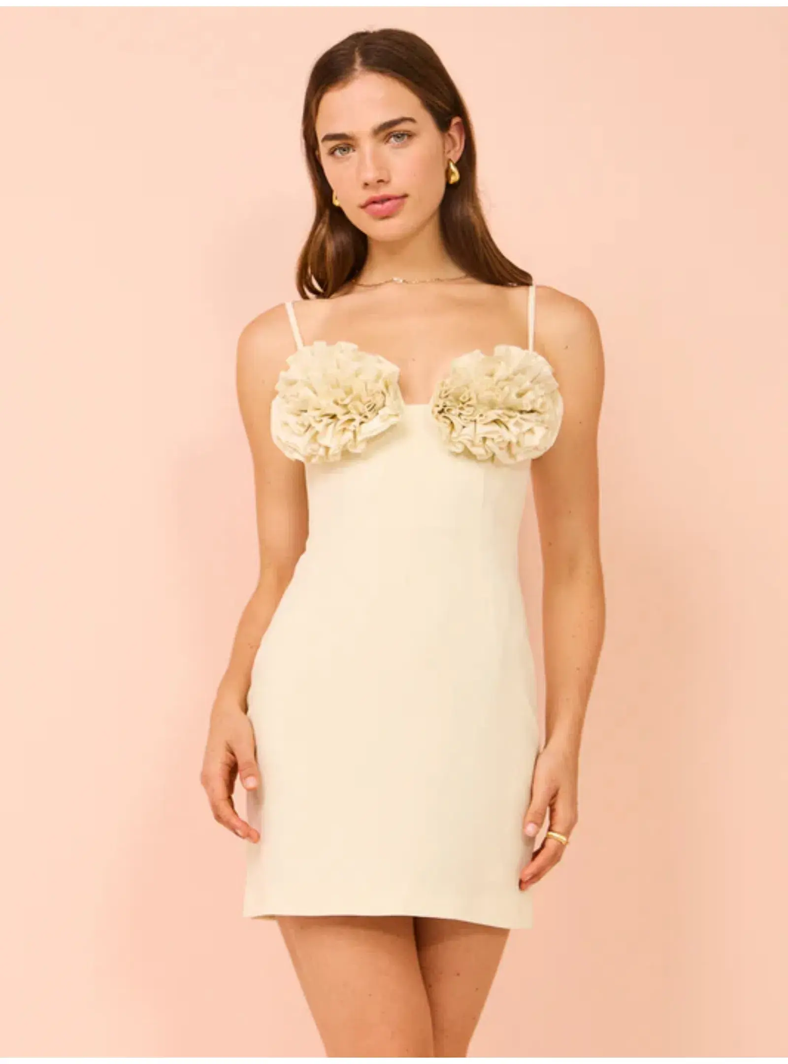 Rachel Gilbert Margot Mini Dress in Coconut Size 1 / AU 8 - Image 2