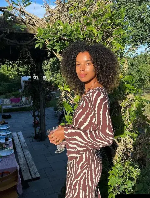 Realisation Par The Gia In Animal Zebra Print Size L / Au 12 for rent on The Volte - main image