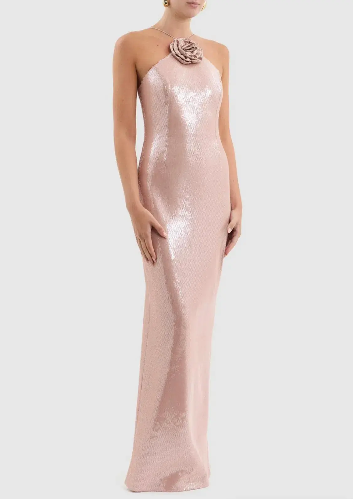 Rebecca Vallance Paige Gown Champagne Size 6  - Image 1