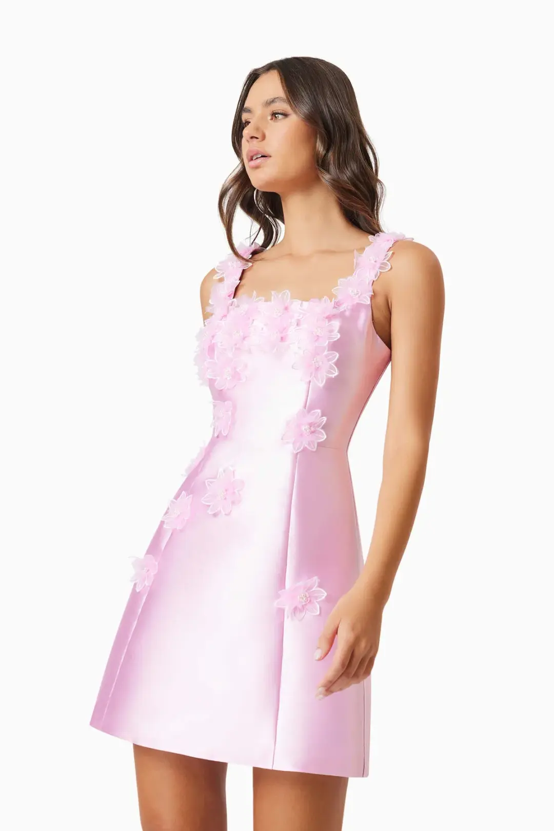Elliatt Elder Floral Decal Applique Mini Dress In Pink Size S / AU 8 for rent on The Volte - main image