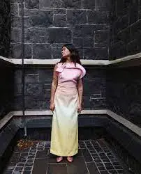 Acler - Warfield Dress - Size 8 for rent on The Volte - main image