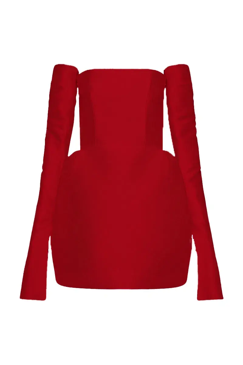 Mariam Seddiq Luis Mini Dress Ruby Size AU 8 for rent on The Volte - main image