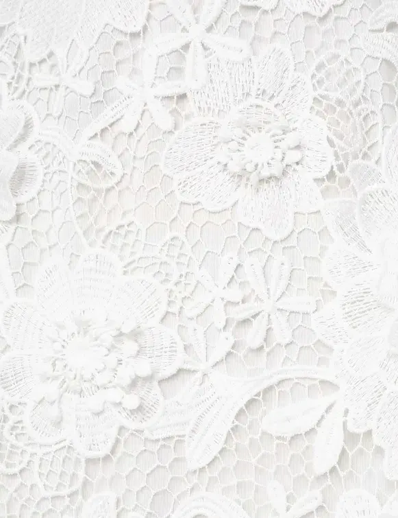 Zimmermann The Halliday Lace Flower Midi Dress in Ivory Size 0 / AU 8 for rent on The Volte - main image