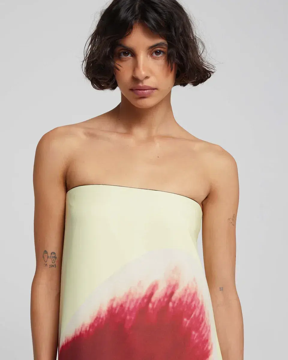 Rat & Boa Antheia Dress Cream Print Size M / AU 10 for rent on The Volte - main image