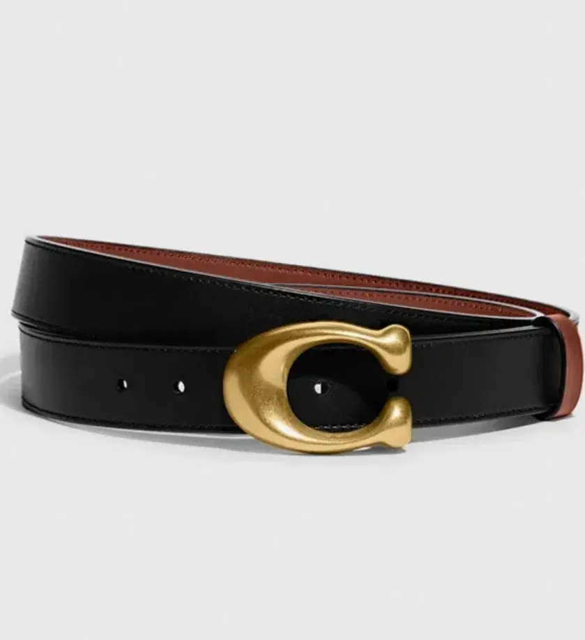 Coach Belt Black - Image 1