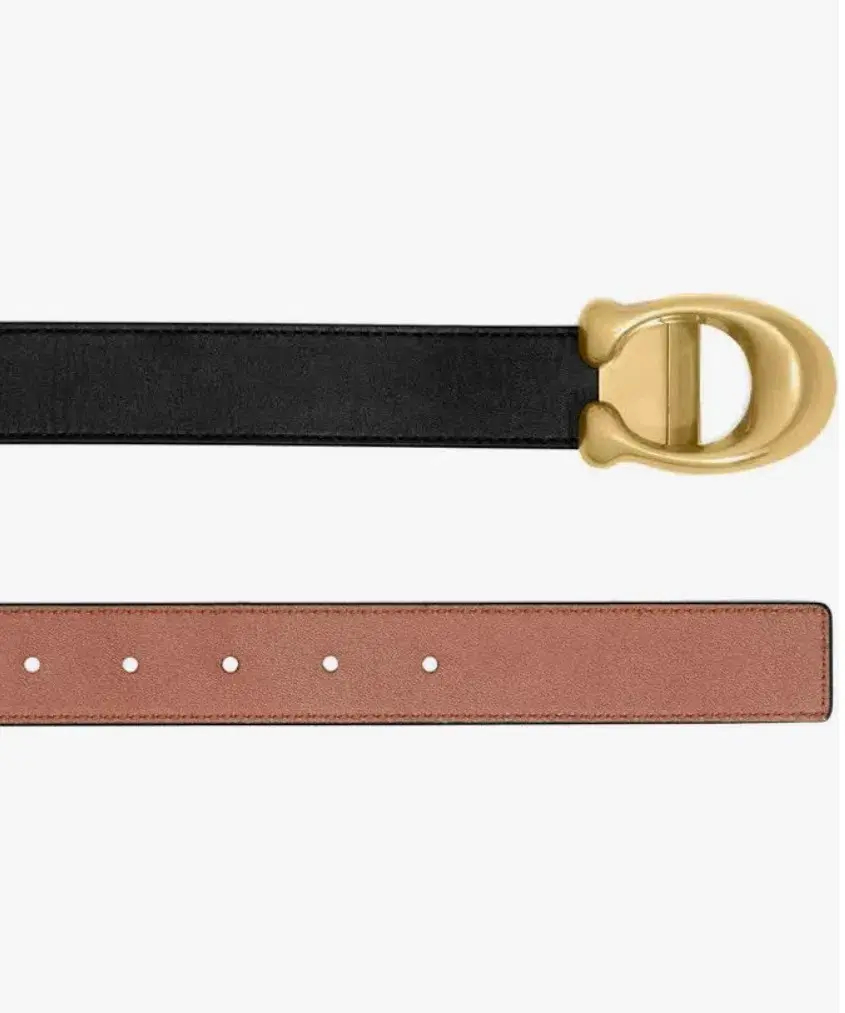 Coach Belt Black - Image 2