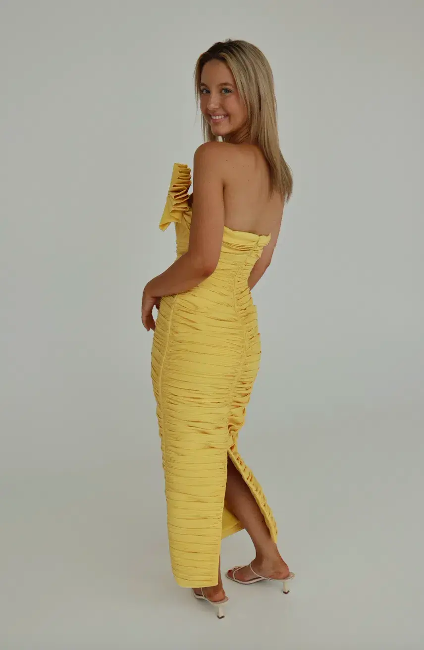 Rachel Gilbert Jensen Dress size 1 - Image 4