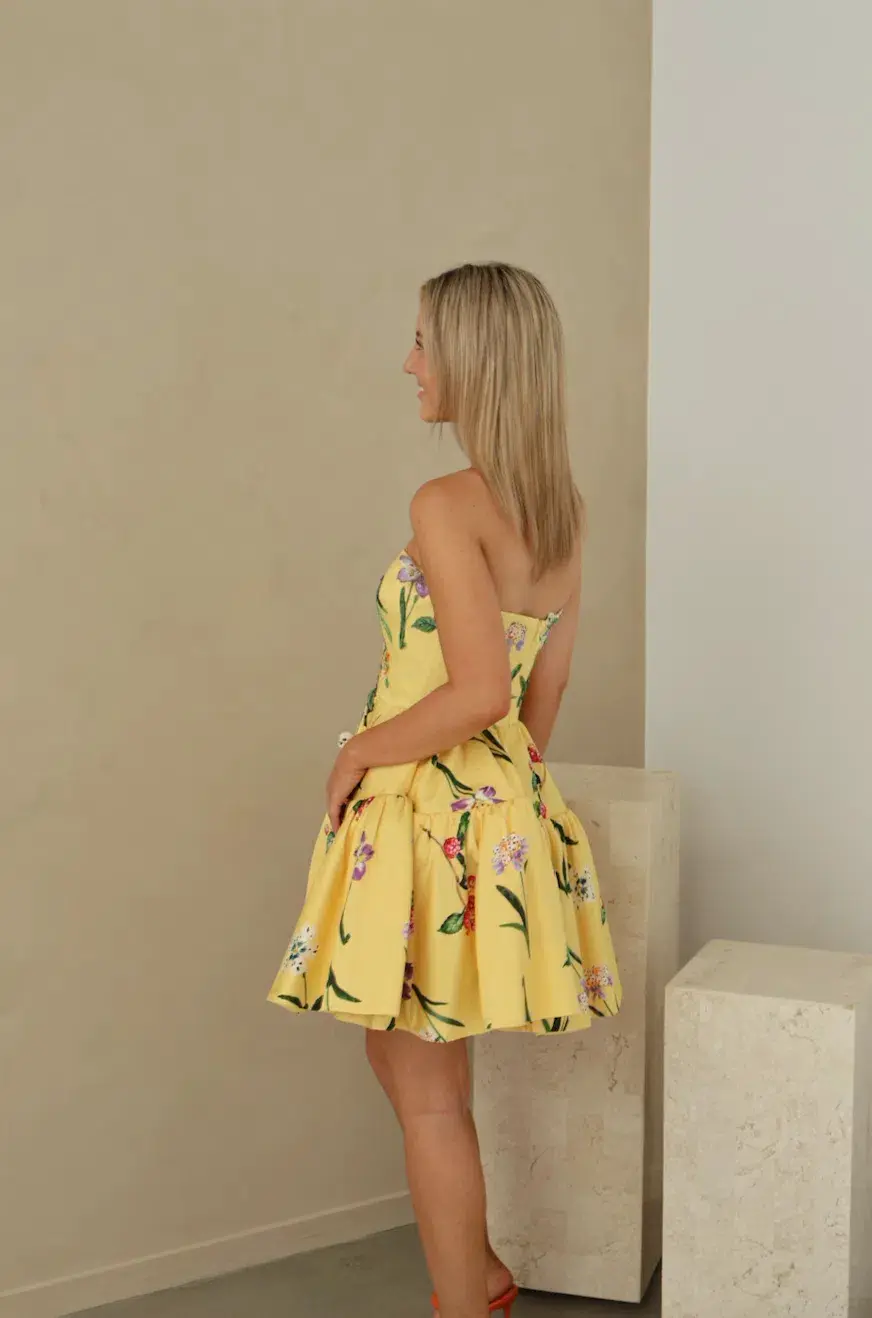 Leo Lin Skye Bustier Mini Dress in Wild Flower in Sorbet Size 8  - Image 4