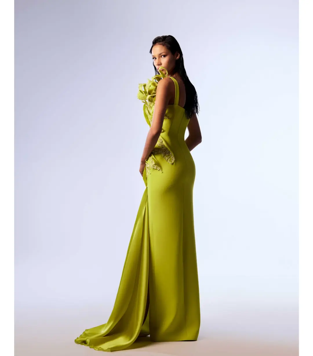 Gaby Charbachy Intricate Lace And Organza Mermaid Dress Lime Size AU 10 for rent on The Volte - main image