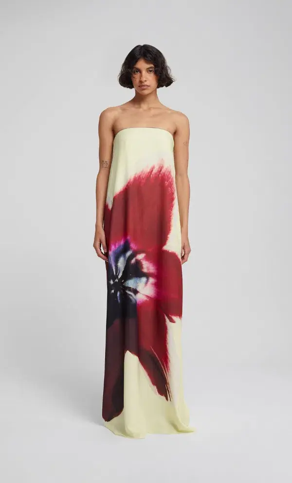 Rat & Boa Antheia Dress Cream Print Size 8 - Image 1