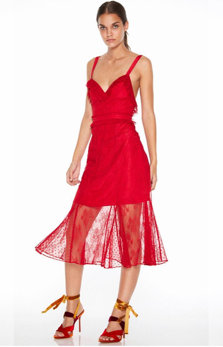 Talulah tango dreams midi dress size 8 - Image 4