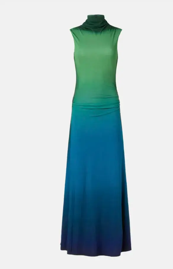 Simkhai Aldina Ruched Ombre Stretch Jersey Turtleneck Gown Multi Size S / AU 8 - Image 7