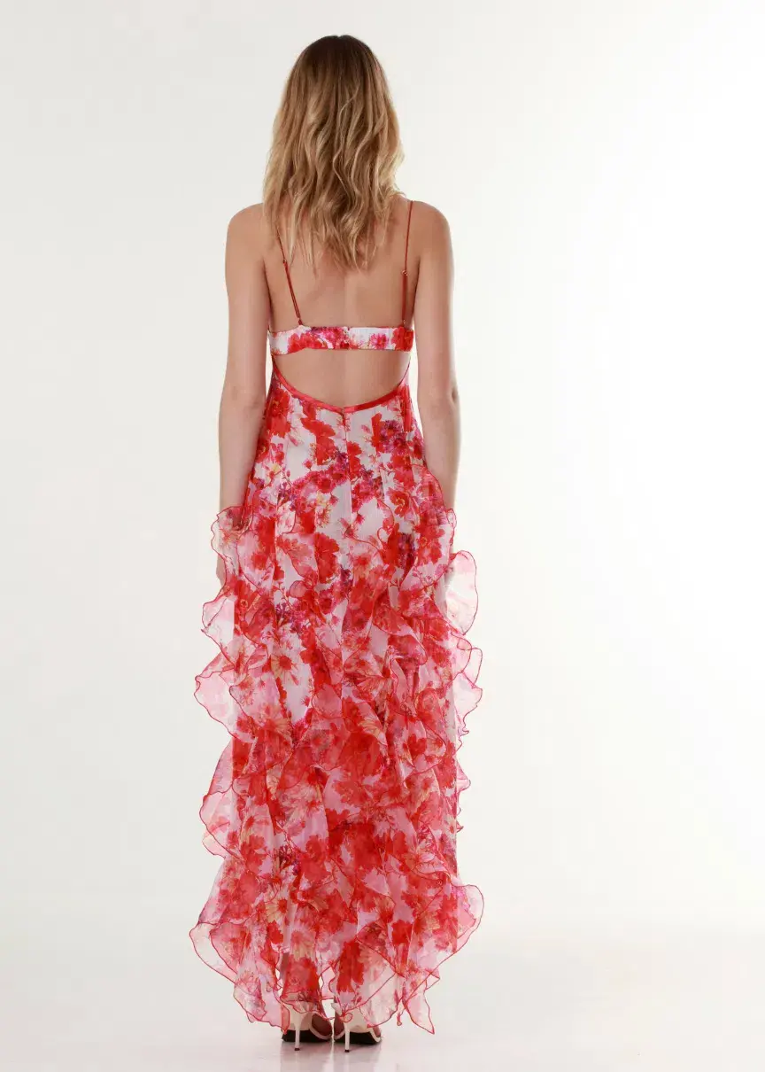 Menti Red Margarita Ruffle Floral-Print Maxi Dress Floral Size 10  - Image 2