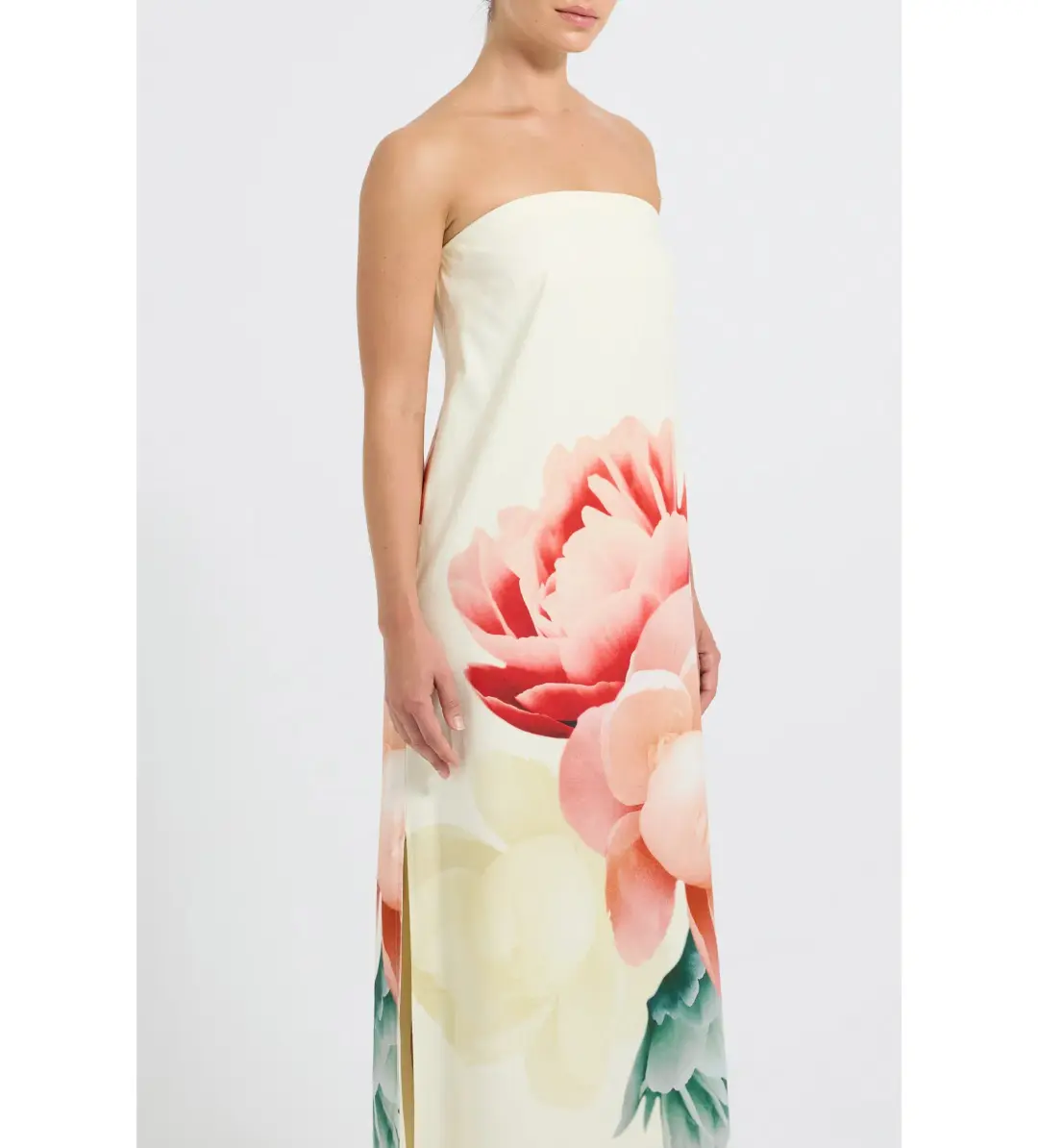 Pasduchas Nostalgia Strapless Maxi Dress Floral Size AU 12 for rent on The Volte - main image