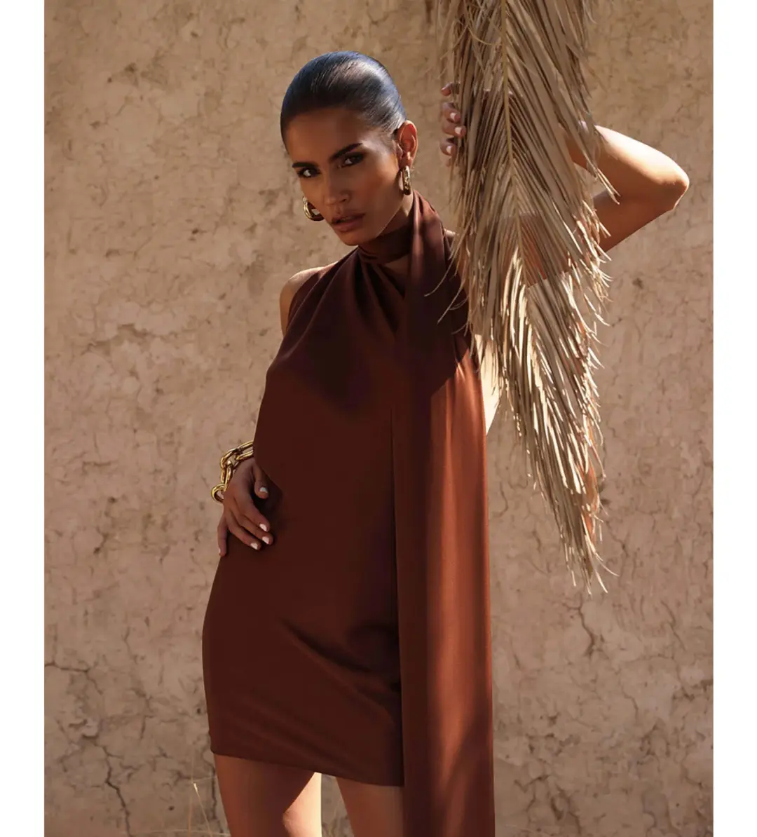 Rat & Boa Serafia Dress in Cocoa Size 6 for rent on The Volte - main image