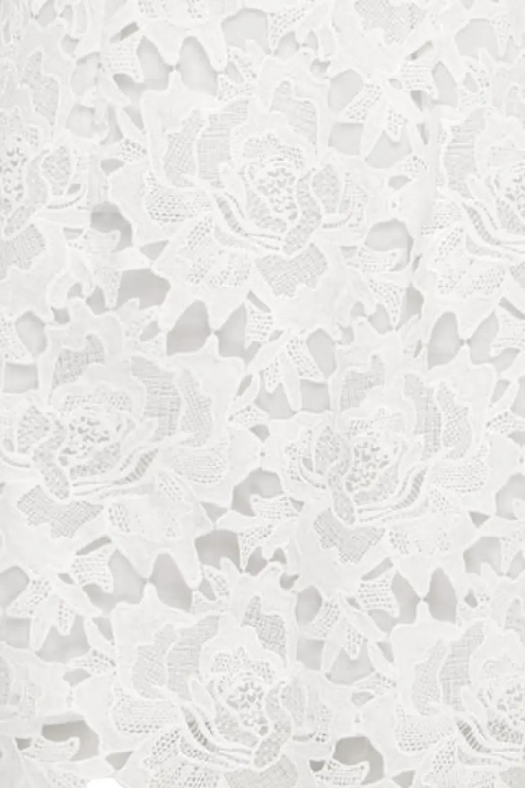 Leo Lin Isla Lace Mini Dress Snow Size 12 for rent on The Volte - main image