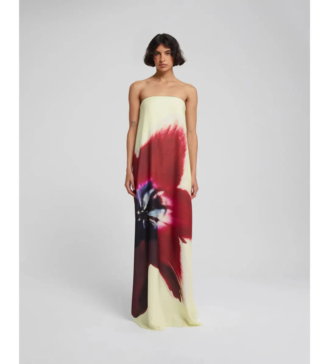 Rat and Boa Antheia Dress Size 8 for rent on The Volte - main image