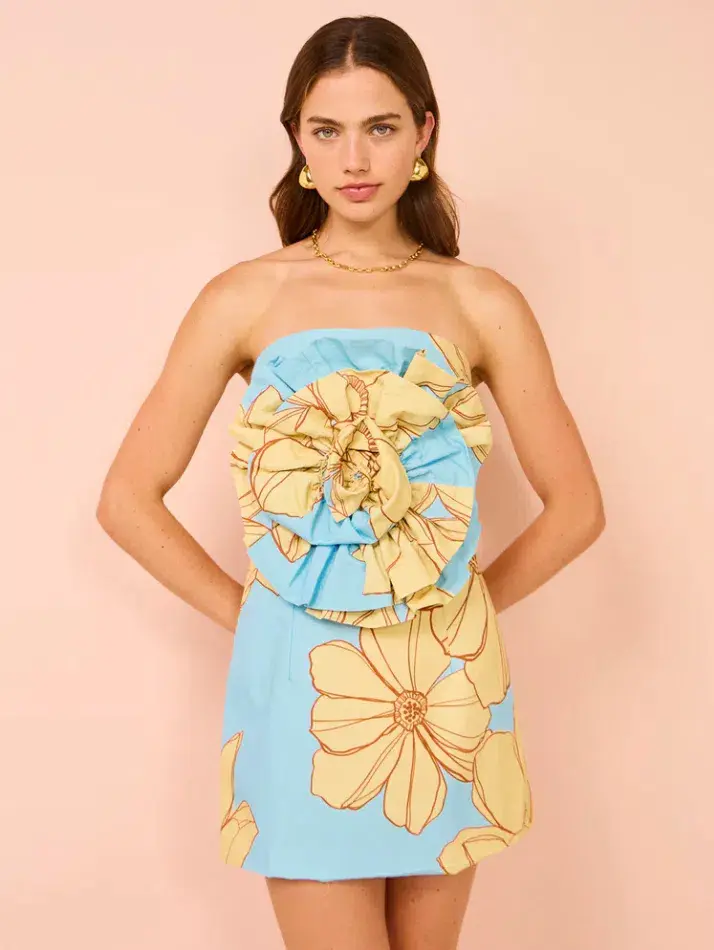 Issy Rose Bodice Mini Size AU 6 - Image 2