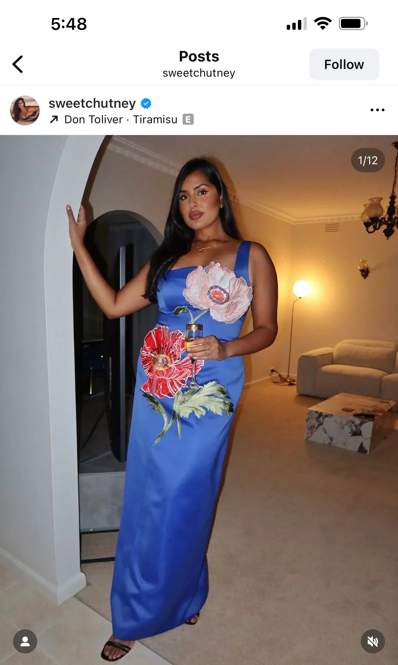 Leo lin Adelina Maxi Dress Lapis Size AU 10 - Image 1