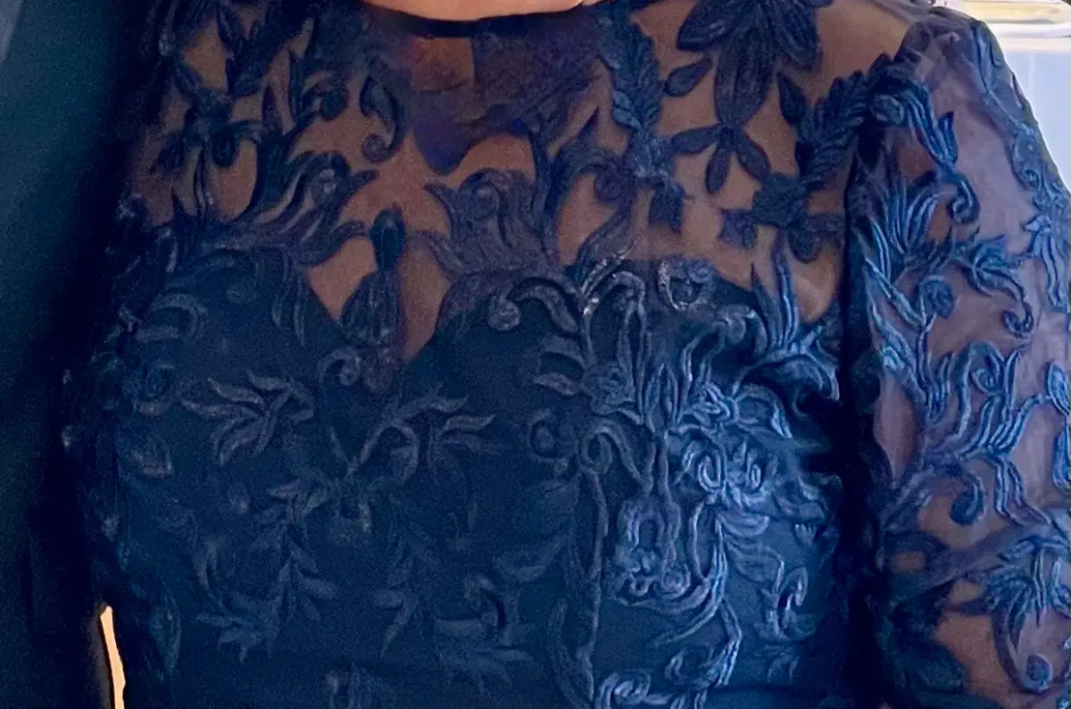 Formal Gown by Bariano Navy Lace 3/4 sleeves tapered length - Image 1