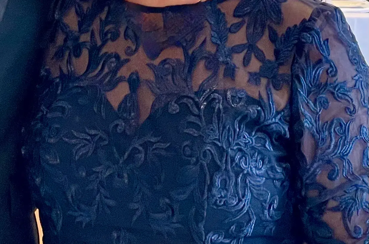 Formal Gown by Bariano Navy Lace 3/4 sleeves tapered length - Image 1