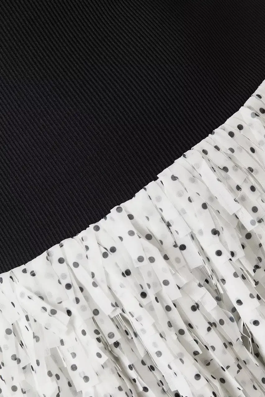 ANNA QUAN Leni Dress Spot Fringe 6 for rent on The Volte - main image