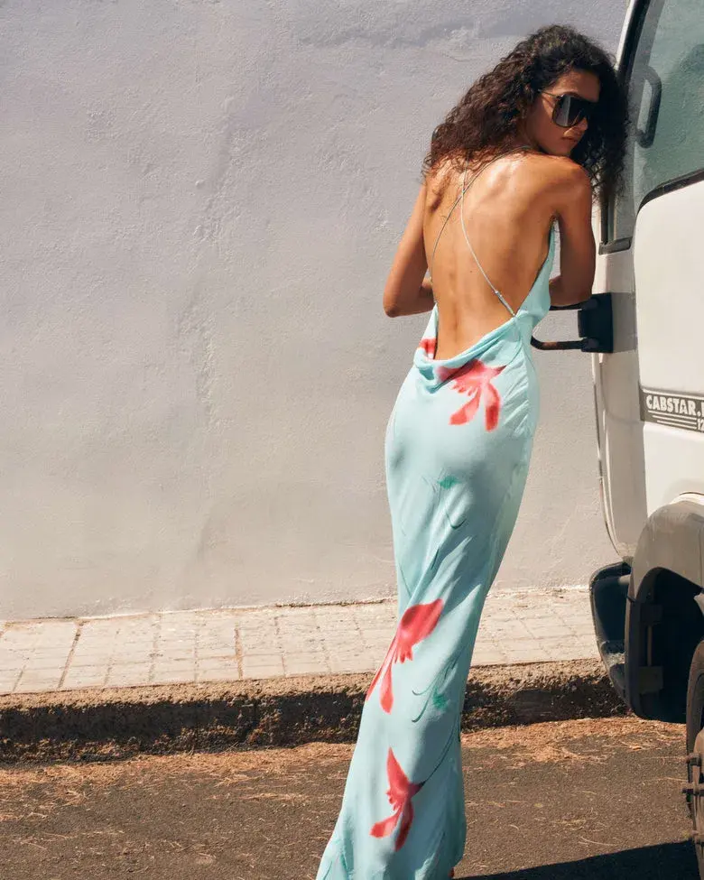 Rat & Boa Vincenza Floral Maxi Dress Size s/Au 8 for rent on The Volte - main image