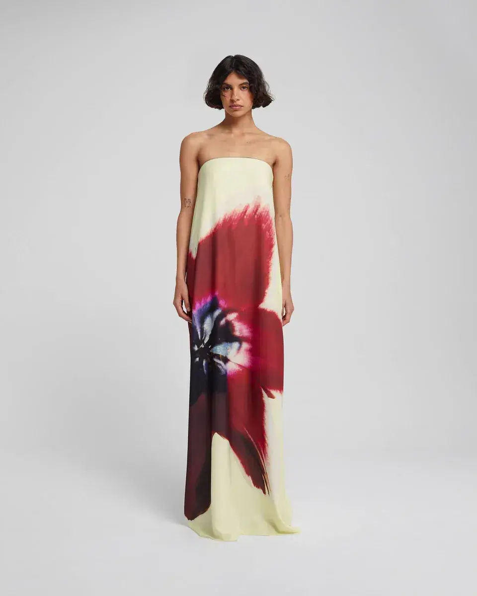 Rat & Boa Antheia Dress Cream Print Size L / AU 12 - Image 1