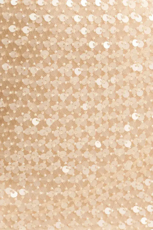 Shona Joy Everly High Neck Sleeveless Maxi Dress Macadamia Size 10 for rent on The Volte - main image